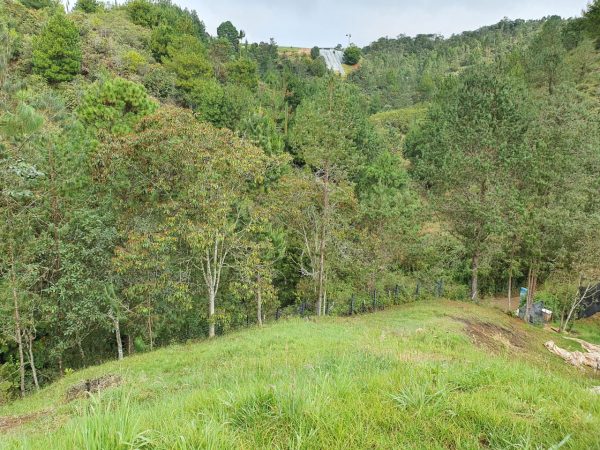 EL RETIRO: lote en parcelación con salida hacia El Tequendamita y hacia Pantanillo. - Image 8