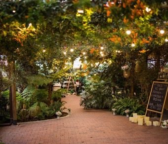 ALTOS DEL POBLADO: Venta de propiedad bien ubicada para desarrollo comercial y/o vivienda de lujo, en plena Av. Las Palmas - Image 5