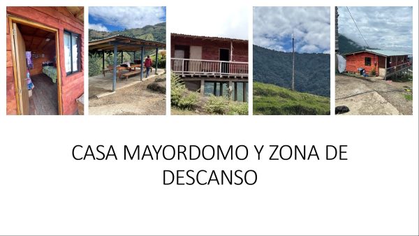 BELMIRA: finca productiva sembrada en aguacate hass, entre Belmira y Sopetrán - Image 6