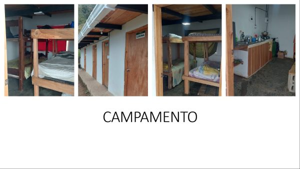 BELMIRA: finca productiva sembrada en aguacate hass, entre Belmira y Sopetrán - Image 10