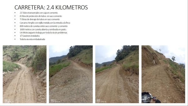 BELMIRA: finca productiva sembrada en aguacate hass, entre Belmira y Sopetrán - Image 17