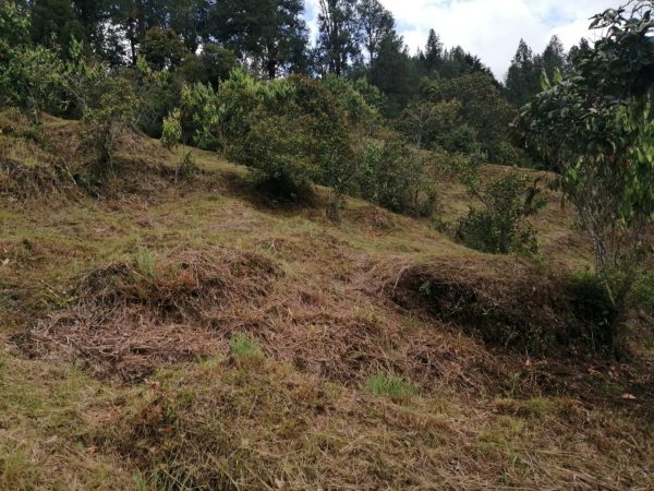 EL RETIRO LOS SALADOS: Lote en parcelación con vista a la represa La Fe - Image 7