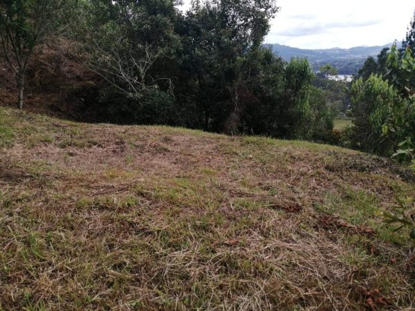 EL RETIRO LOS SALADOS: Lote en parcelación con vista a la represa La Fe - Image 5