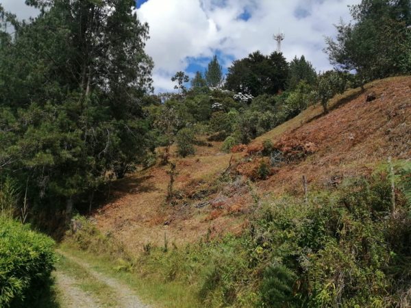 EL RETIRO LOS SALADOS: Lote en parcelación con vista a la represa La Fe - Image 4