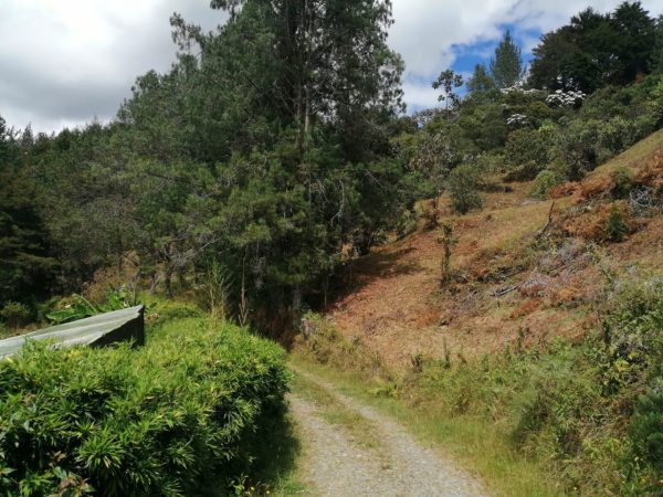 EL RETIRO LOS SALADOS: Lote en parcelación con vista a la represa La Fe - Image 3
