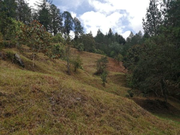 EL RETIRO LOS SALADOS: Lote en parcelación con vista a la represa La Fe - Image 2