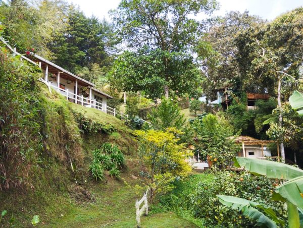 EL RETIRO: Encantadora finquita en Don Diego con 2 casas y 2 matrículas independientes - Image 9