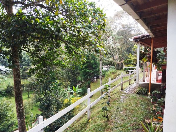 EL RETIRO: Encantadora finquita en Don Diego con 2 casas y 2 matrículas independientes - Image 10
