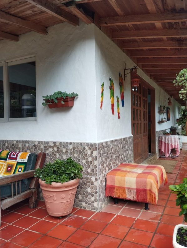 EL RETIRO: Encantadora finquita en Don Diego con 2 casas y 2 matrículas independientes - Image 15
