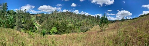 EL RETIRO: lote independiente de 4.725 m² con escrituras al 100% vereda Portento - Image 7