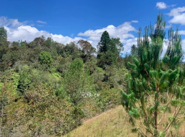 EL RETIRO: lote independiente de 4.725 m² con escrituras al 100% vereda Portento