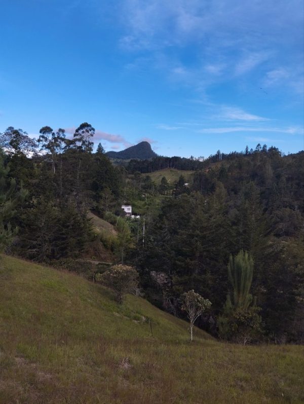 EL RETIRO: lote independiente de 4.725 m² con escrituras al 100% vereda Portento - Image 11