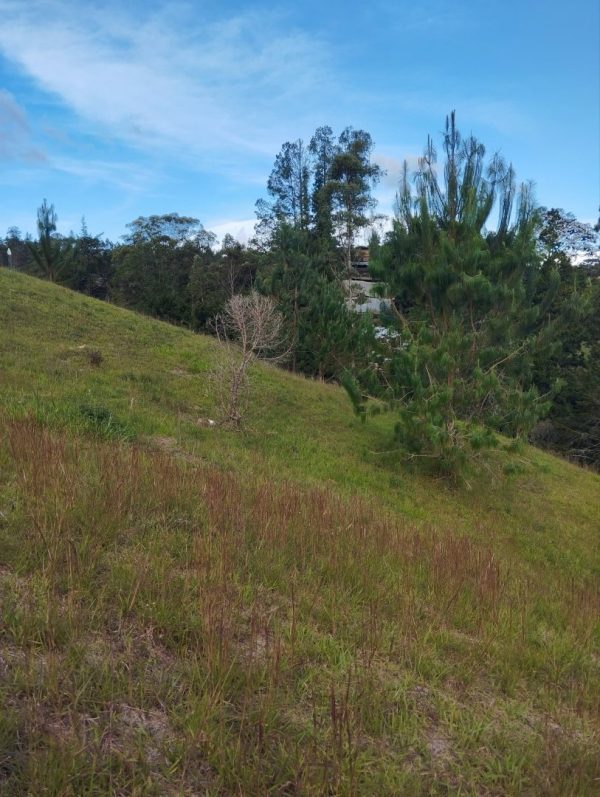 EL RETIRO: lote independiente de 4.725 m² con escrituras al 100% vereda Portento - Image 4
