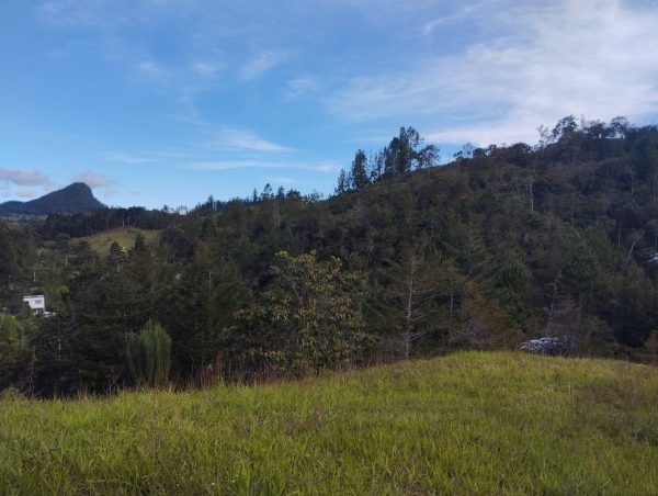 EL RETIRO: lote independiente de 4.725 m² con escrituras al 100% vereda Portento - Image 3