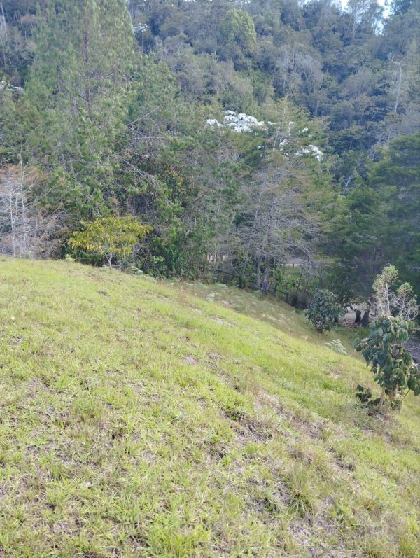 EL RETIRO: lote independiente de 4.725 m² con escrituras al 100% vereda Portento - Image 5