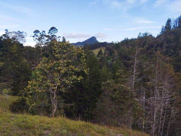 EL RETIRO: lote independiente de 4.725 m² con escrituras al 100% vereda Portento - Image 8