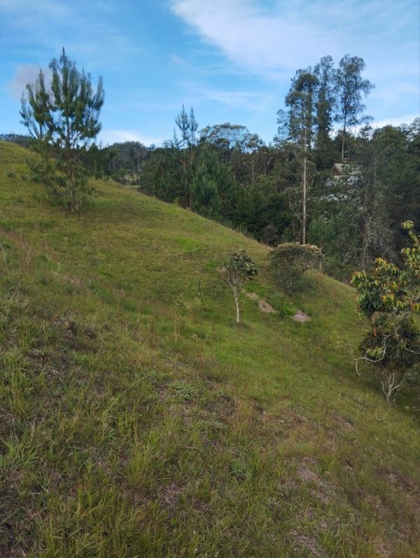 EL RETIRO: lote independiente de 4.725 m² con escrituras al 100% vereda Portento - Image 12