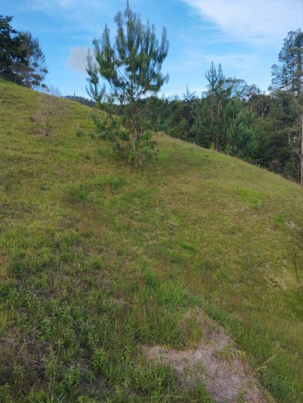 EL RETIRO: lote independiente de 4.725 m² con escrituras al 100% vereda Portento - Image 13