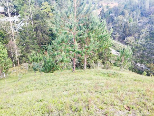EL RETIRO: lote independiente de 4.725 m² con escrituras al 100% vereda Portento - Image 9