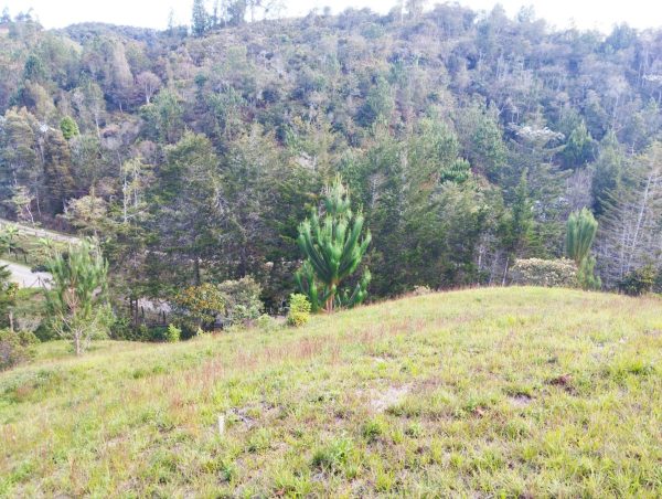 EL RETIRO: lote independiente de 4.725 m² con escrituras al 100% vereda Portento - Image 10