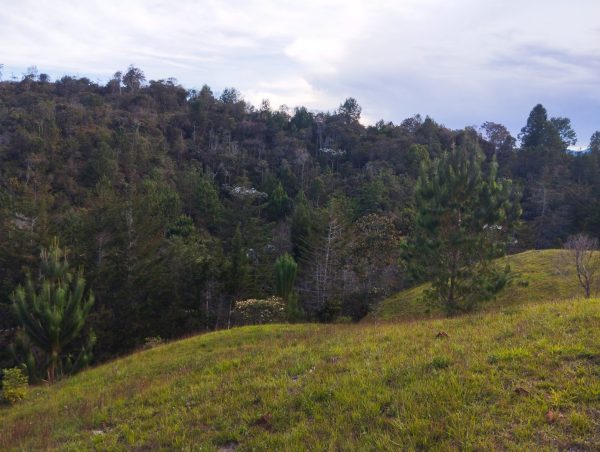 EL RETIRO: lote independiente de 4.725 m² con escrituras al 100% vereda Portento - Image 2