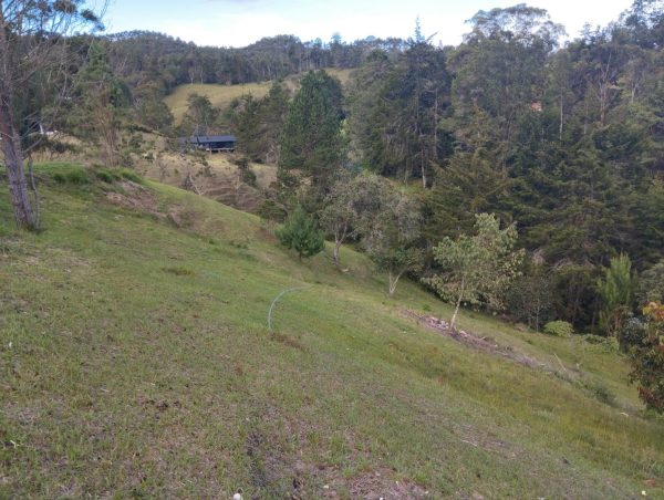 EL RETIRO: lote independiente de 4.725 m² con escrituras al 100% vereda Portento - Image 6