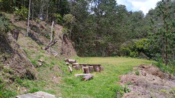 EL RETIRO: hermoso lote campestre con estudio construído, en un lugar cercano para desconectarse - Image 6