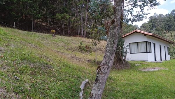 EL RETIRO: hermoso lote campestre con estudio construído, en un lugar cercano para desconectarse - Image 5