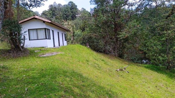 EL RETIRO: hermoso lote campestre con estudio construído, en un lugar cercano para desconectarse - Image 15