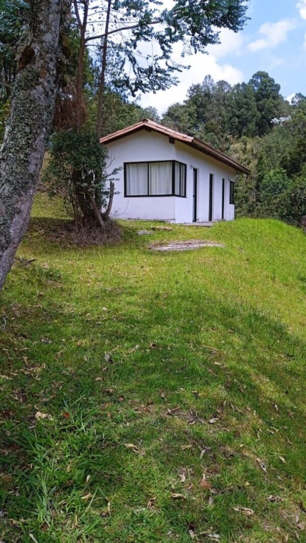 EL RETIRO: hermoso lote campestre con estudio construído, en un lugar cercano para desconectarse - Image 14