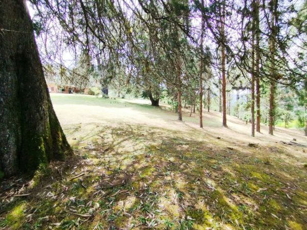 EL RETIRO: hermosa propiedad con vista a la represa. Lote de 20.000 y casa antigua para reformar. Con alto potencial para Subdividir - Image 15