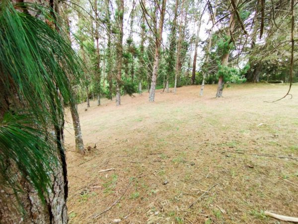 EL RETIRO: hermosa propiedad con vista a la represa. Lote de 20.000 y casa antigua para reformar. Con alto potencial para Subdividir - Image 10