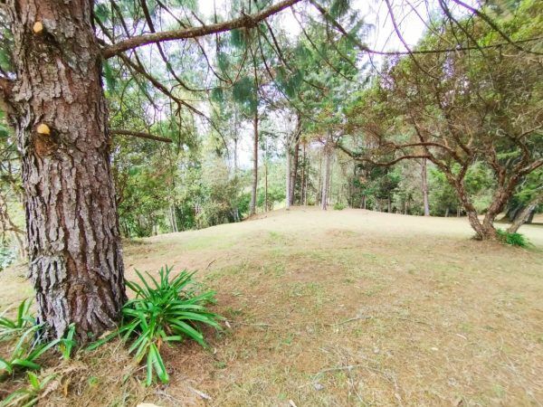 EL RETIRO: hermosa propiedad con vista a la represa. Lote de 20.000 y casa antigua para reformar. Con alto potencial para Subdividir - Image 7