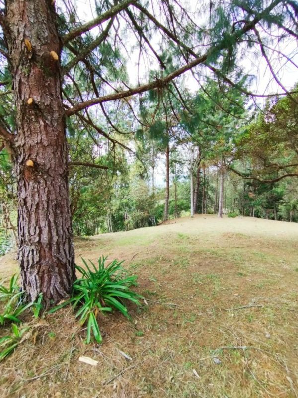 EL RETIRO: hermosa propiedad con vista a la represa. Lote de 20.000 y casa antigua para reformar. Con alto potencial para Subdividir - Image 9