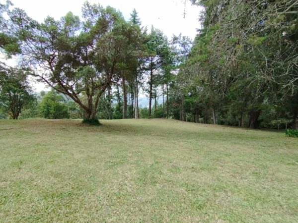 EL RETIRO: hermosa propiedad con vista a la represa. Lote de 20.000 y casa antigua para reformar. Con alto potencial para Subdividir - Image 5
