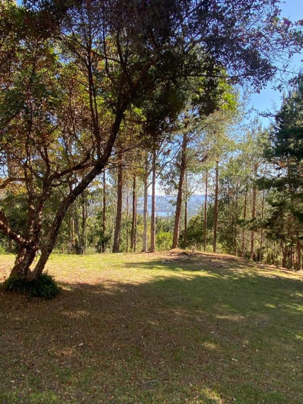 EL RETIRO: hermosa propiedad con vista a la represa. Lote de 20.000 y casa antigua para reformar. Con alto potencial para Subdividir - Image 2