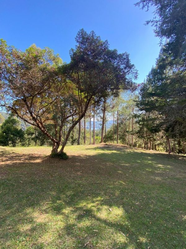 EL RETIRO: hermosa propiedad con vista a la represa. Lote de 20.000 y casa antigua para reformar. Con alto potencial para Subdividir - Image 4