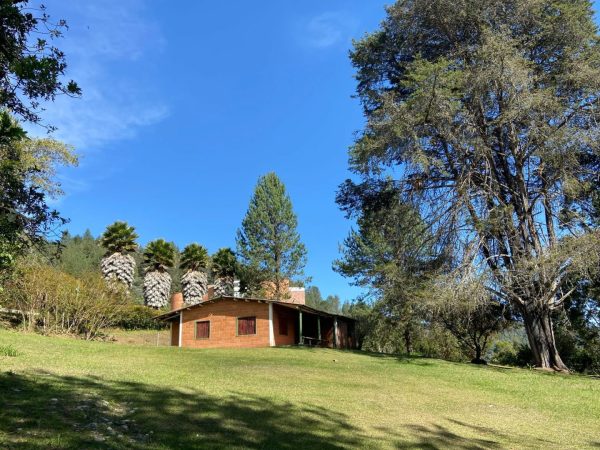 EL RETIRO: hermosa propiedad con vista a la represa. Lote de 20.000 y casa antigua para reformar. Con alto potencial para Subdividir - Image 3