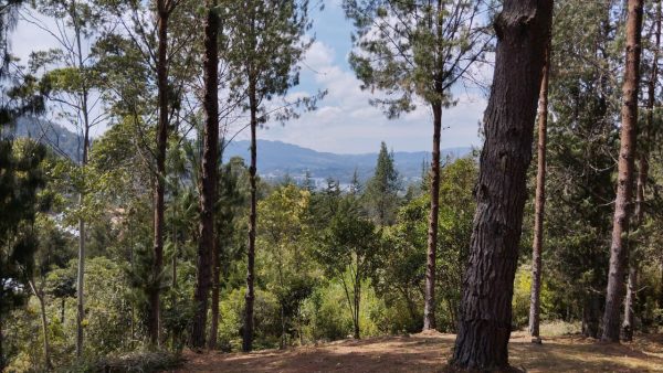EL RETIRO: hermosa propiedad con vista a la represa. Lote de 20.000 y casa antigua para reformar. Con alto potencial para Subdividir