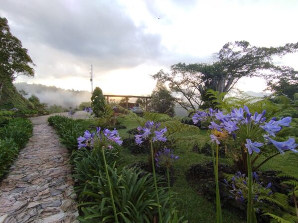 EL RETIRO DON DIEGO: casa campestre de 260 m² construídos y un terreno de 9890 m² rodeados de jardín 🌿 - Image 3