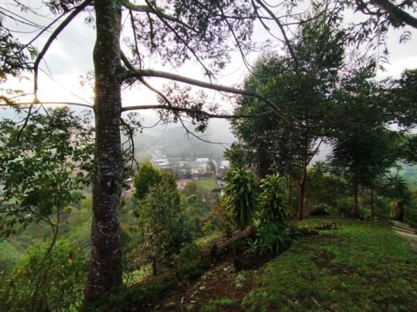 EL RETIRO DON DIEGO: casa campestre de 260 m² construídos y un terreno de 9890 m² rodeados de jardín 🌿 - Image 37