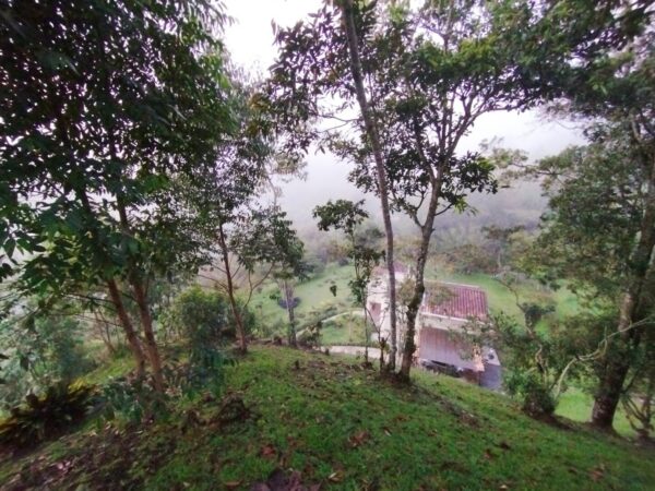 EL RETIRO DON DIEGO: casa campestre de 260 m² construídos y un terreno de 9890 m² rodeados de jardín 🌿 - Image 32