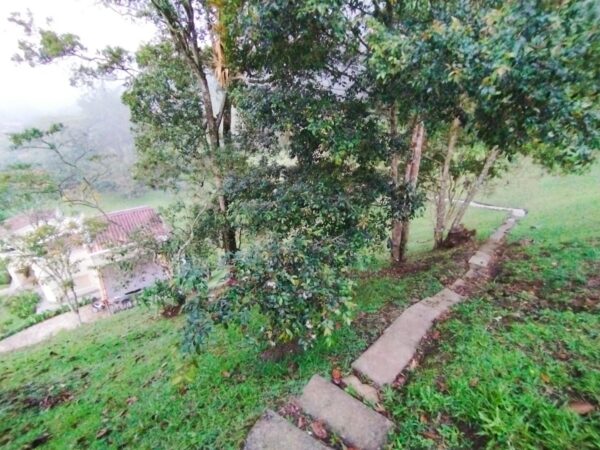 EL RETIRO DON DIEGO: casa campestre de 260 m² construídos y un terreno de 9890 m² rodeados de jardín 🌿 - Image 34