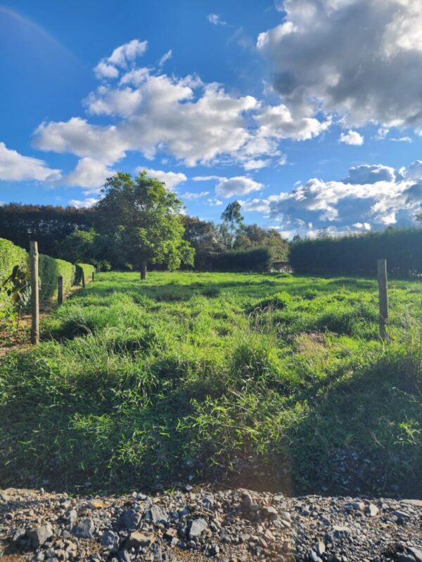 LA CEJA CANTARANA:  Lote de 3.570m² en exclusiva parcela privada rodeada de naturaleza - Image 3