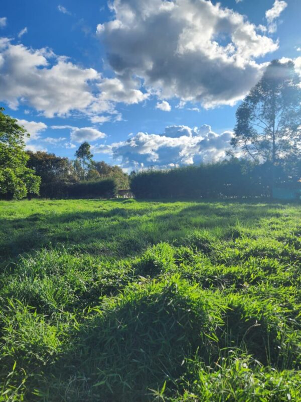 LA CEJA CANTARANA:  Lote de 3.570m² en exclusiva parcela privada rodeada de naturaleza - Image 2