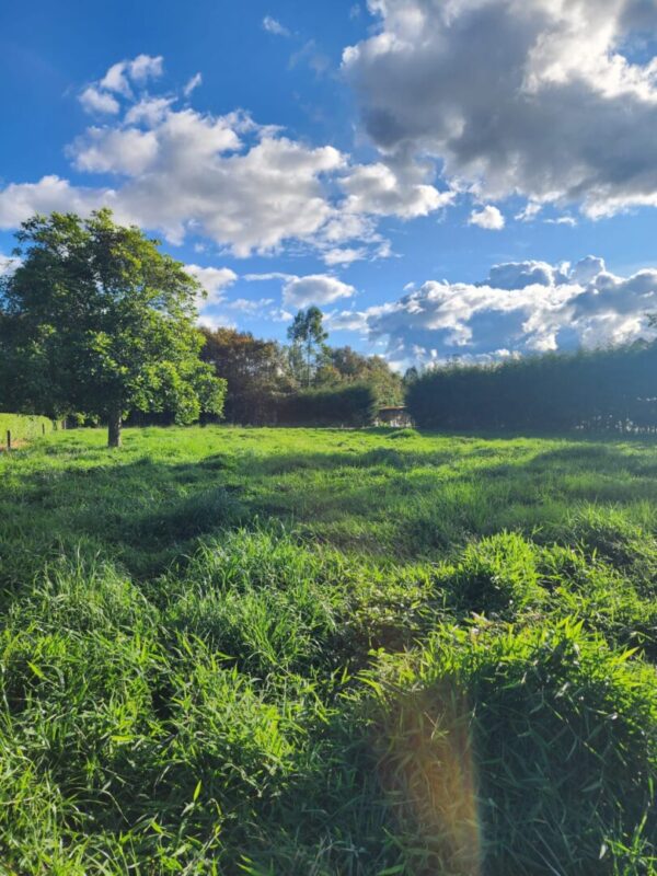 LA CEJA CANTARANA:  Lote de 3.570m² en exclusiva parcela privada rodeada de naturaleza