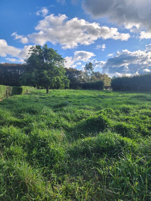 LA CEJA CANTARANA:  Lote de 3.570m² en exclusiva parcela privada rodeada de naturaleza - Image 4