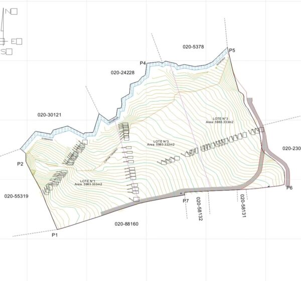 RIONEGRO SAJONIA: lote independiente de 17.950 m² con viabilidad y planos para subdivisión de 3 matrículas. A 10 minutos del Aeropuerto JMC - Image 3