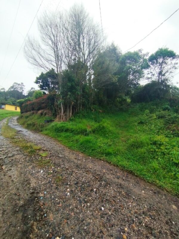RIONEGRO SAJONIA: lote independiente de 17.950 m² con viabilidad y planos para subdivisión de 3 matrículas. A 10 minutos del Aeropuerto JMC - Image 7