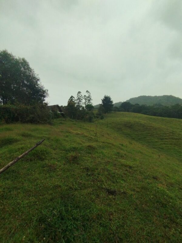 RIONEGRO SAJONIA: lote independiente de 17.950 m² con viabilidad y planos para subdivisión de 3 matrículas. A 10 minutos del Aeropuerto JMC - Image 10